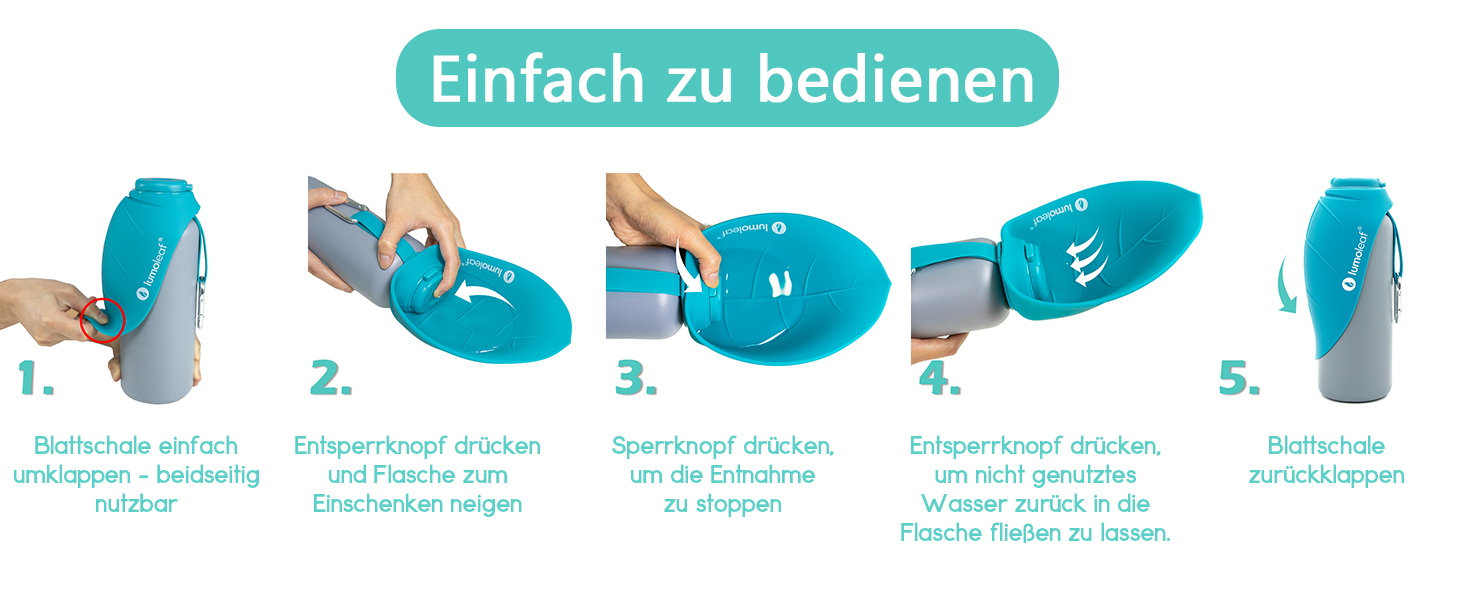 LumoLeaf Ізольована водна пляшка з нержавіючої сталі для собак, 800 мл – підтримує воду холодною або теплою годинами, довговічна та портативна для подорожей, широке горлечко для легкого наповнення та очищення (Блакитний, 800 мл)