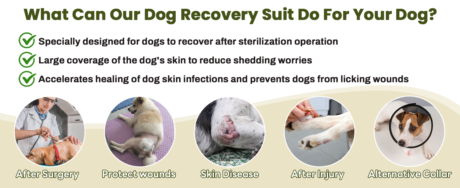 Теплий дощовик для собак MHaustlie з капюшоном та захистом вух, 2 в 1, худі, зелений, розмір S