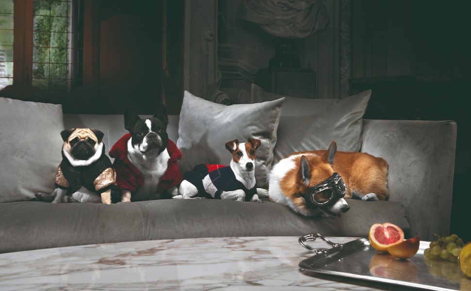 Спасальний жилет для собак Croci C6020097, 45 см