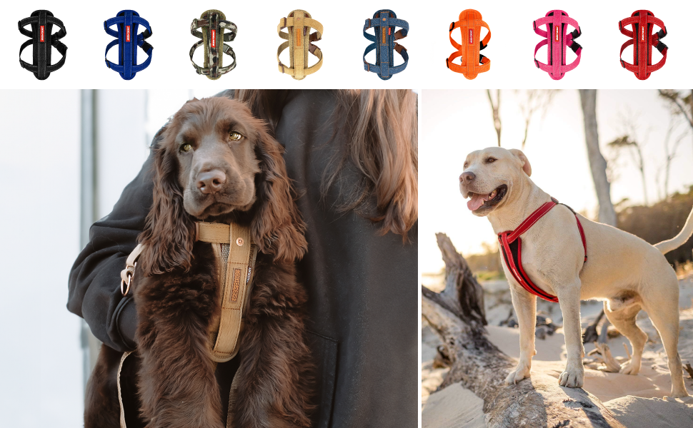 Шлейка для собак EzyDog Auto з кріпленням для безпеки, для малих, середніх та великих собак, світловідбиваюча, з підкладкою (L, Camo)