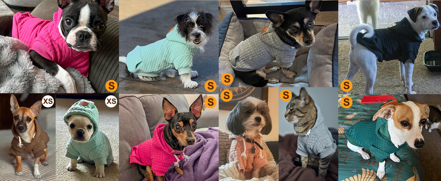 Теплий пуховик з капюшоном для собак середніх та маленьких порід від BEAUTYZOO, рожевий, з кишенями