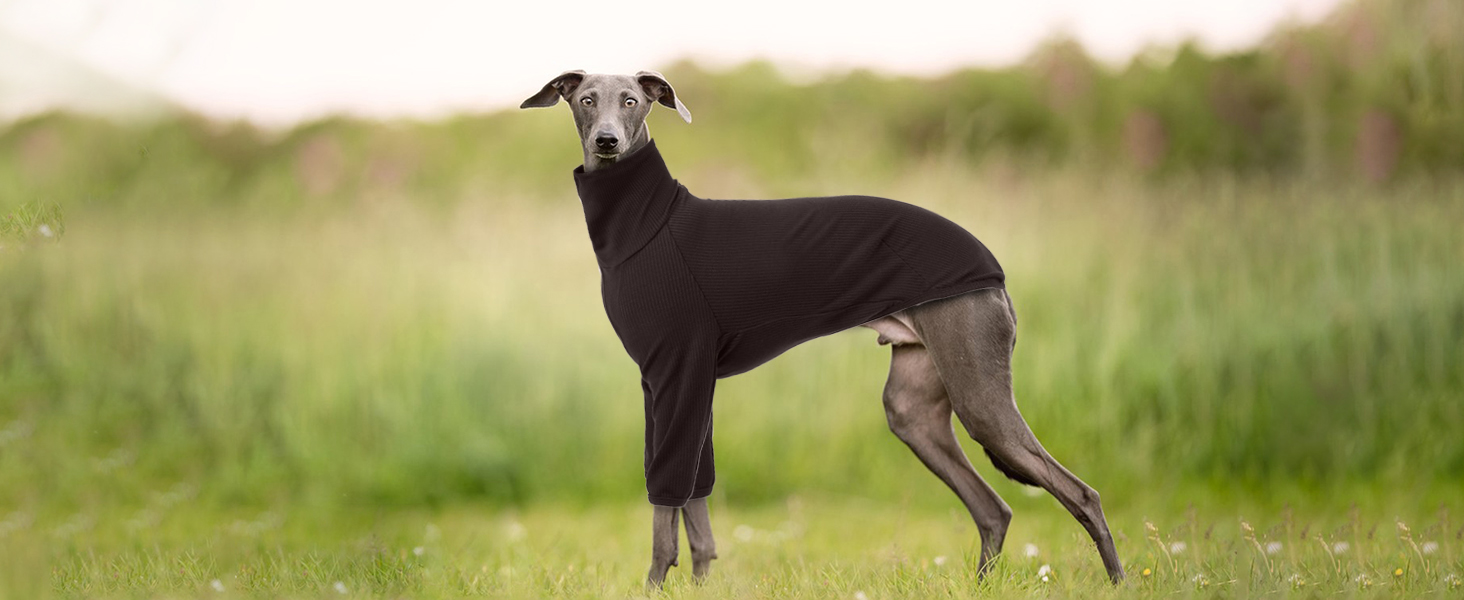 Пуловер з коміром-стійкою для гончаків, теплий зимовий одяг, куртка для гончаків, одяг для собак середнього розміру, теплий пуловер для собак (M, Коричневий)