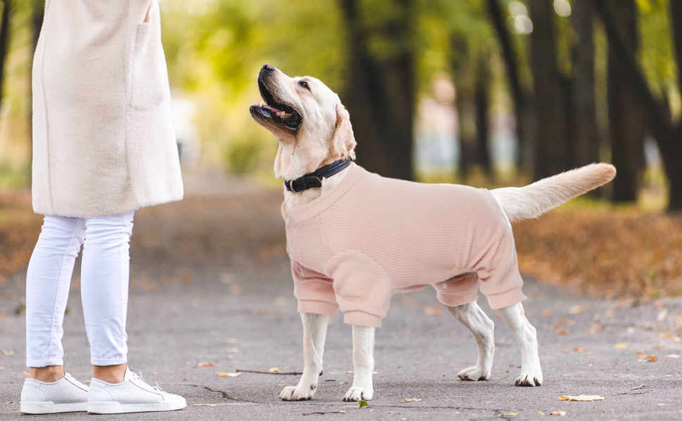 Зимовий теплий одяг для собак: жилет, куртка, комбінезон для собак різних розмірів (XL, рожевий)