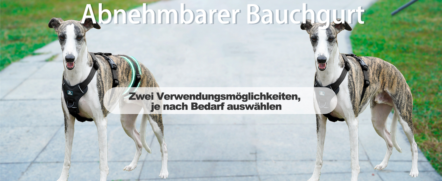 Пауерлд: Безпечна шлейка для собак, анти-тяга, паніка-шлейка, захист від втечі, регульована, дихаюча жилетка для собак (Чорний, XL) Екстра велика (упаковка з 1) Чорний