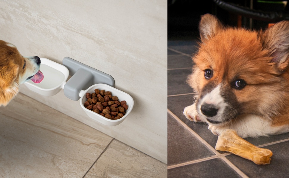 Набір мисок для котів з кріпленням на стіну, підняті миски, міцні, з присосками, для корму та води