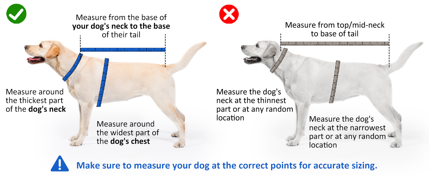 Рушник для собак з мікрофібри, швидковисихаючий, регульований, надпоглинутий, для середніх та великих собак, легко одягається (Сіро-зелений, XXL)
