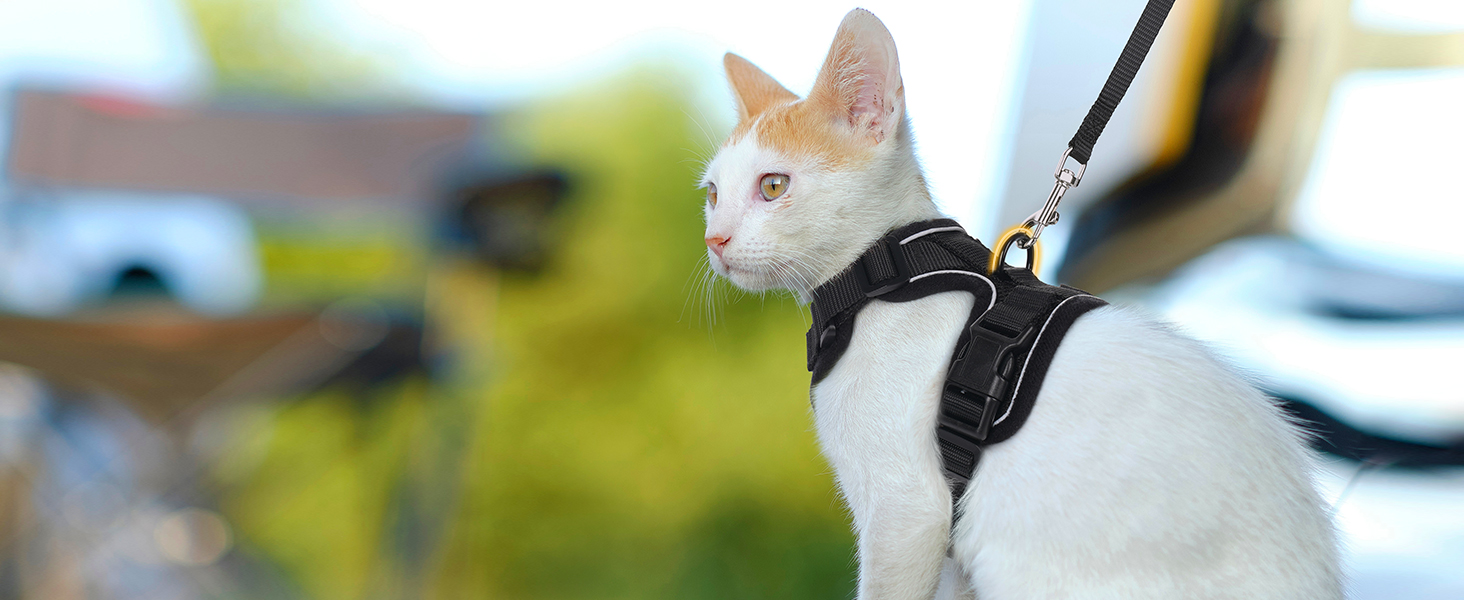 Шлейка для кота Rabbitgoo з повідком, чорна, м'яка, для котів, шлейка-жилет, безпечна, регульована, чорна, M (1 шт.)