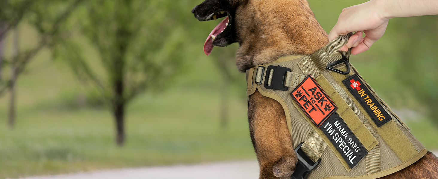 Шлейка для собак Rabbitgoo для великих собак без натягу, тактична нагрудна шлейка з MOLLE, металеві пряжки, дихаюча, військова, регульована, з підкладкою, L (1 шт., коричнева)