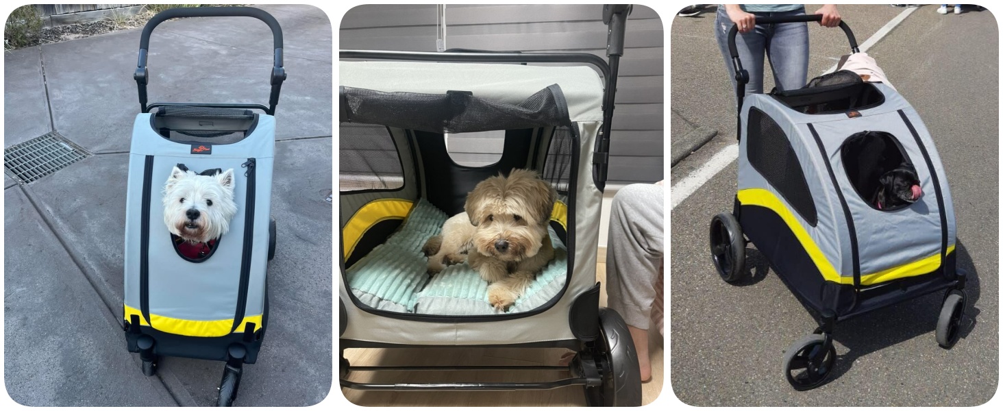 Візок для собак BingoPaw: складаний, для малих і середніх собак, кошенят та тварин до 20 кг, з 4 колесами та 3 сітковими віконцями