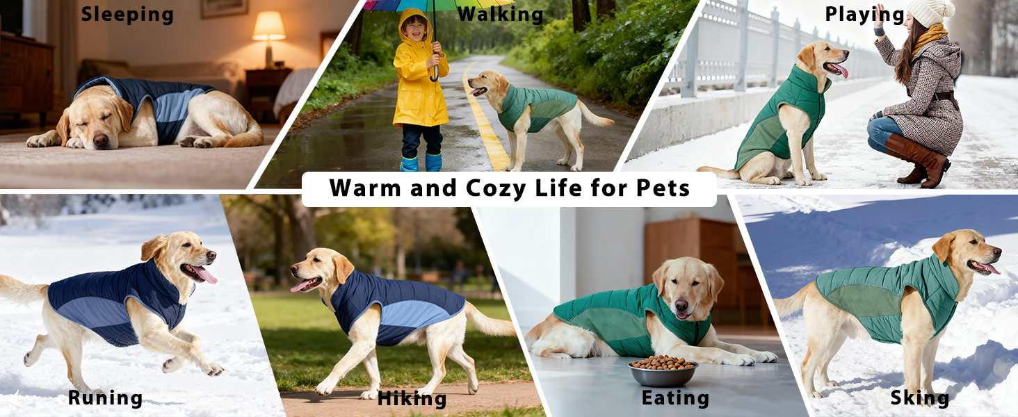 Водонепроникний собачий дощовик/куртка Poiinvc з отвором для шлейки, світловідбиваючий, теплий, для собак S-XXXL, зелений