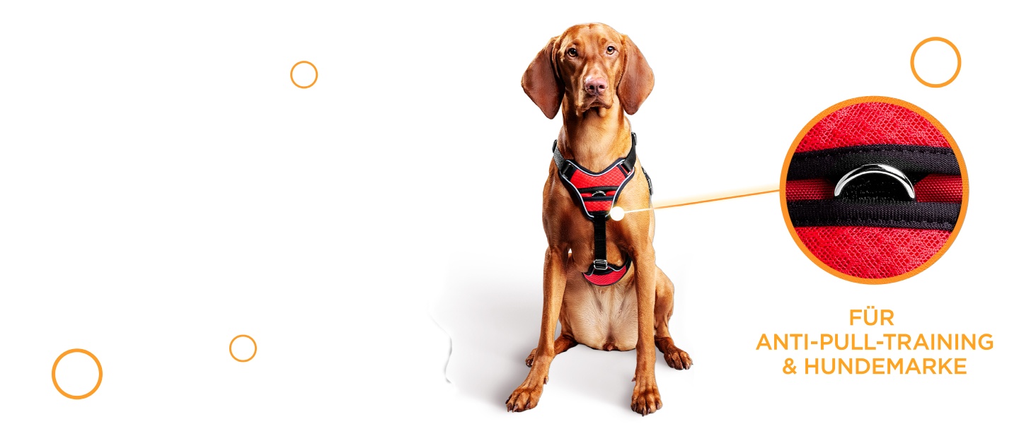 Шлейка для собак - відбиваюча, з м'якою підкладкою, для собак маленьких та великих порід, червона, обхват шиї 40 см (34-45 см), обхват грудей 43-55 см