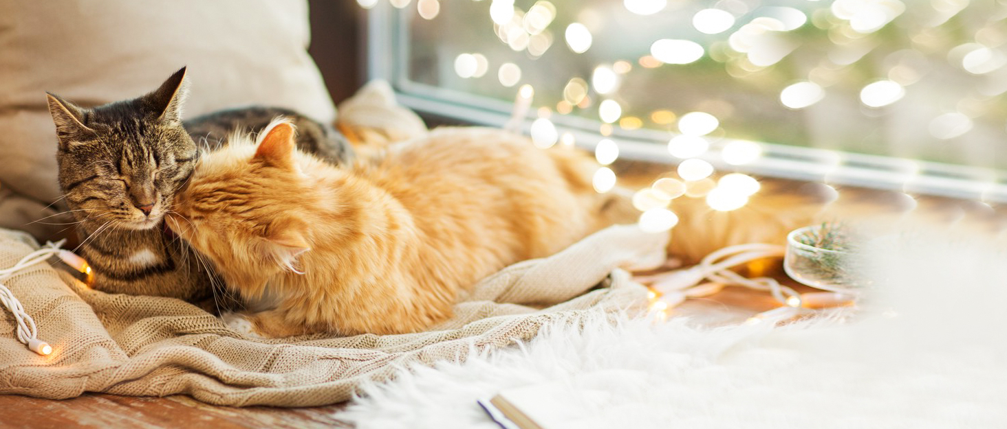 Килимок для котячого туалету VIVAGLORY, 90x60 см, сірий - миється, для збору наповнювача