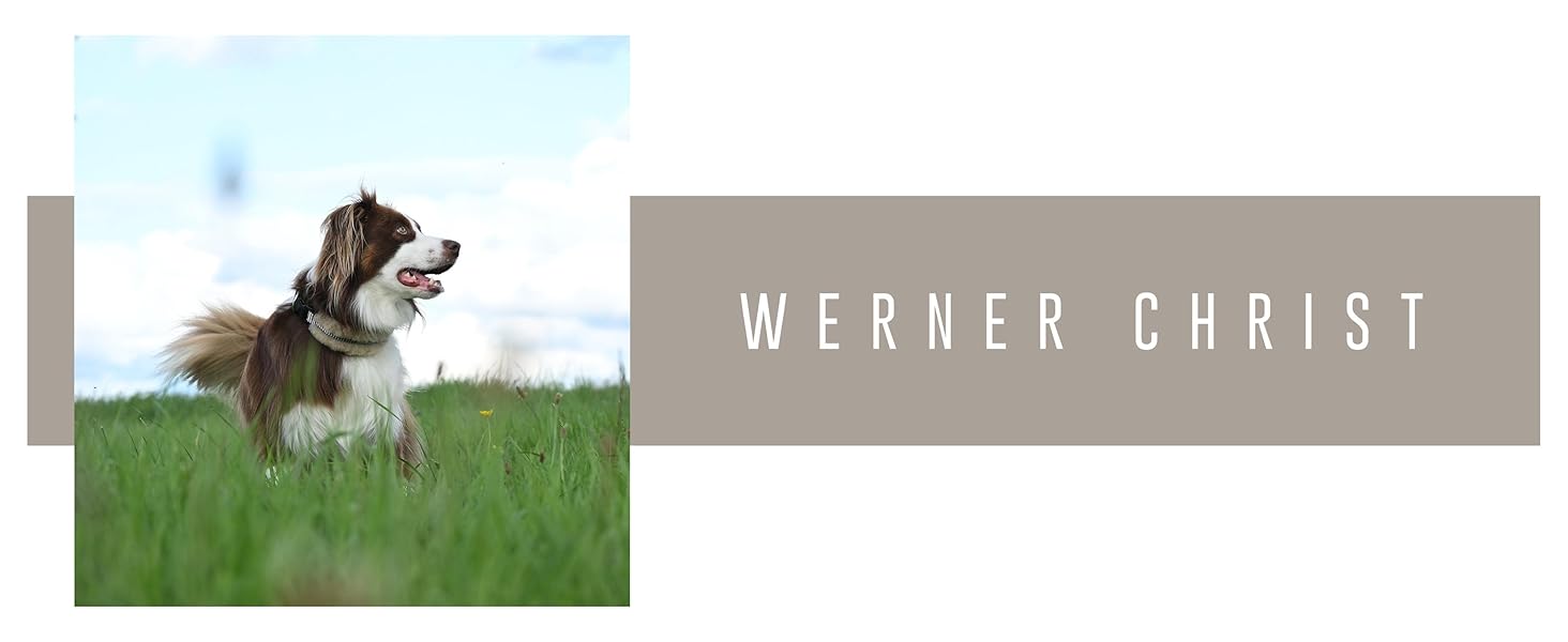 Інноваційний нашийник для собак CHRIS з ланолінової вовни, зменшує випадіння шерсті, з підкладкою, світловідбиваючий, регульований, для собак малих, середніх та великих порід, розміри M (35-45см), L (45-55см), XL (55-65см), колір антрацит