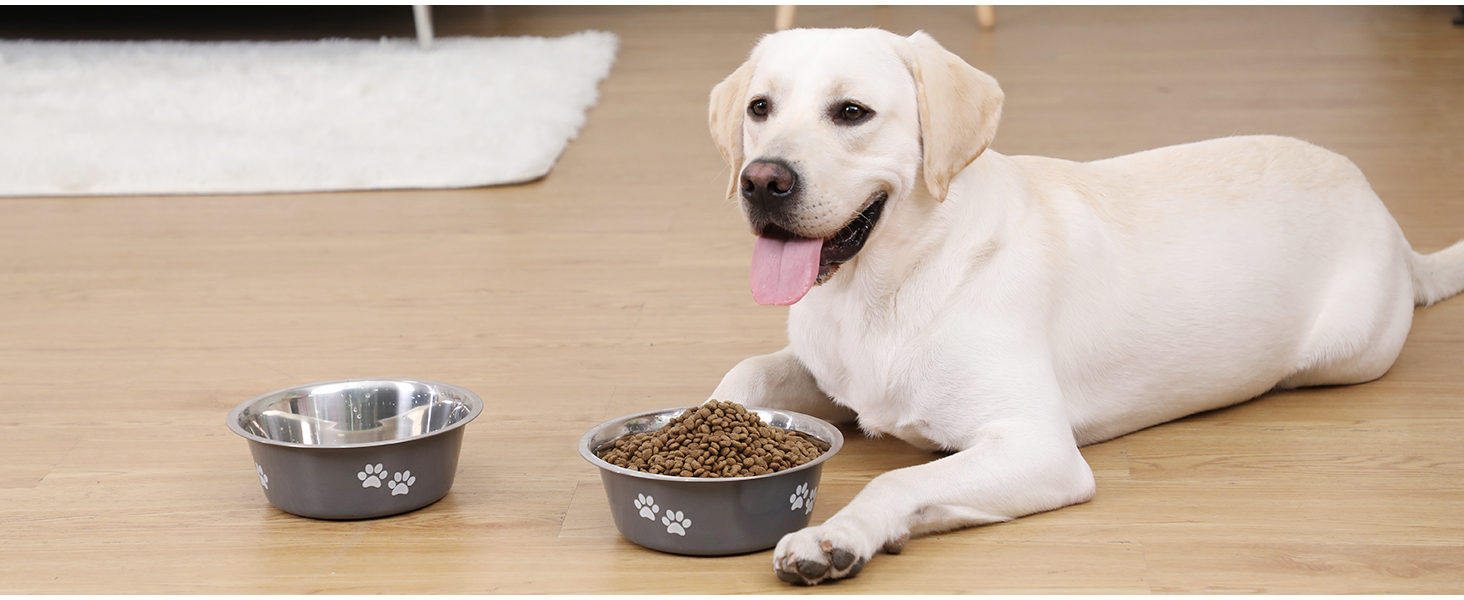 PETTOM Миски для собак 2 шт. з нержавіючої сталі (3120 мл), миски для корму для собак, миски для води з неслизьким силіконовим дном для великих, середніх та маленьких собак, сірі, 21 см