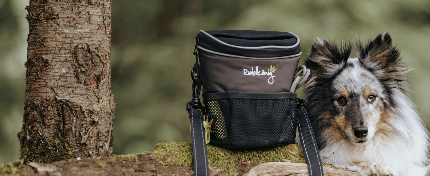 Сумка для ласощів для собак Rudelkönig - Практична сумка для прогулянок з собакою, для дресирування - Фурнітурний мішечок для собак з дозатором кульок для прибирання, на плече, Базовий сірий