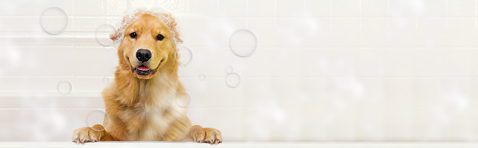 Furzone щітка для вичісування шерсті собак, M - для вичісування та догляду за шерстю, видалення ковтунів