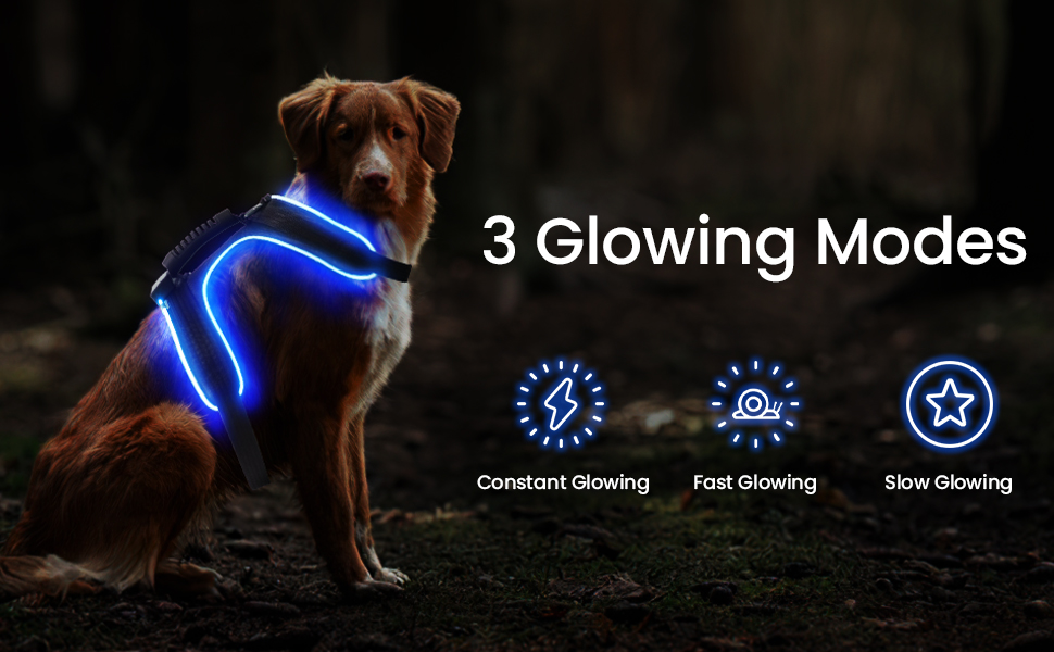 Світлодіодне обіднє нашийник для собак Masbrill, світловідбиваючий, з регулюванням, з ручкою, для малих, середніх та великих собак (Чорний/Червоний, S)