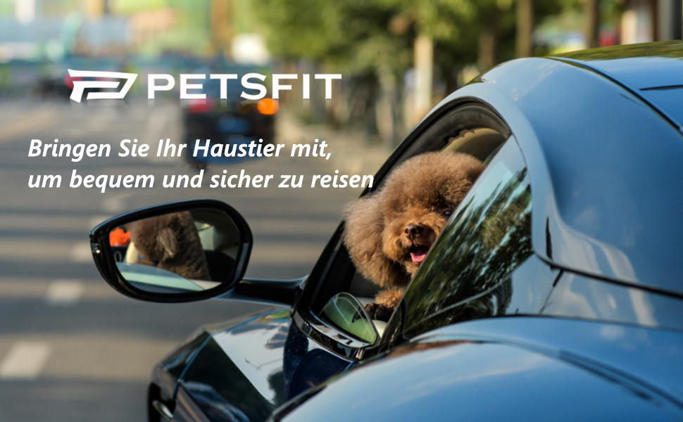Автокрісло для собак Petsfit на заднє сидіння, для середніх та 2 маленьких собак, з підстилкою та ременями безпеки