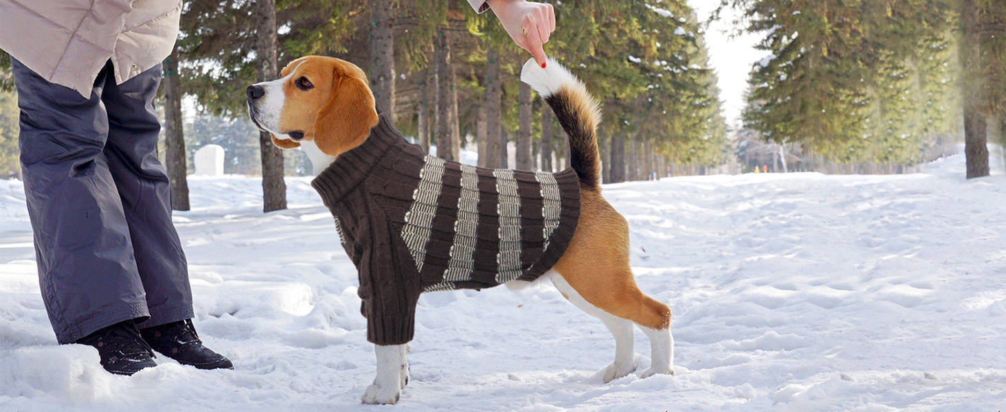 Теплий зимовий пуловер для собак маленьких порід з отвором для повідка, з малюнком 