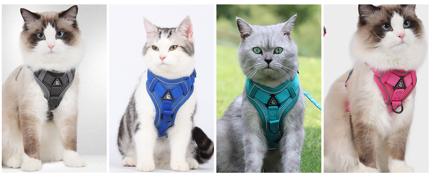 Набір для кота: шлейка та поводок-телескопічний, антизламання, регульована шлейка для кошенят та собак, рожевий