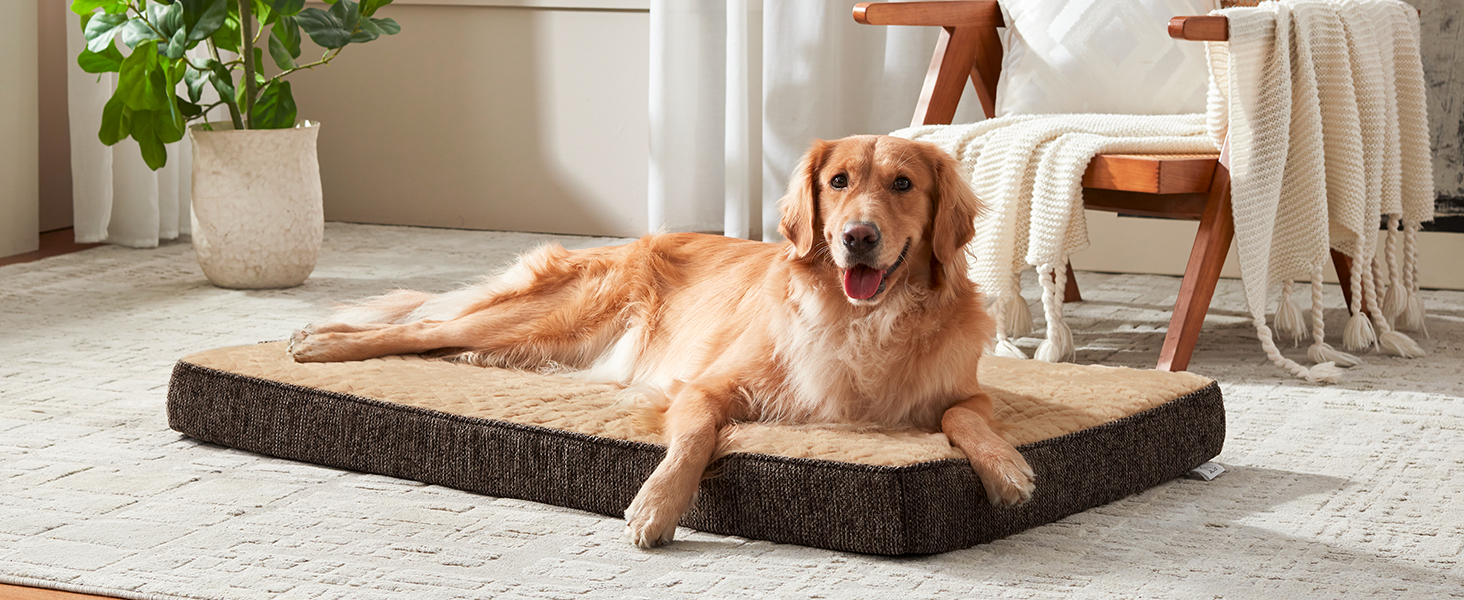 Ортопедичне ліжко для собак JOEJOY, 61x43x9 см, сіре - м'яке, з неслизьким дном