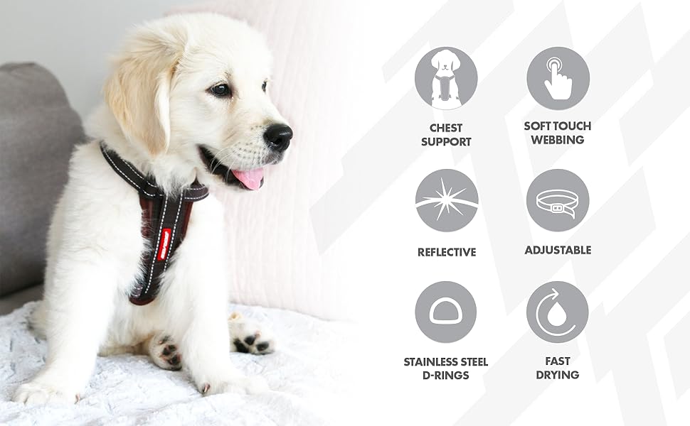 Шлейка EzyDog для собак з кріпленням для автоременю, безпечна, з підкладкою, для маленьких, середніх та великих собак, світловідбиваюча (XL, Чорний) (Double Extra Small, Kordsamt)