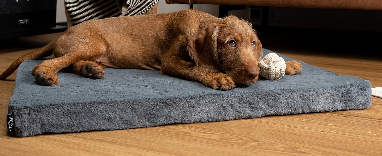 Матрац для собак TrendPet VitaMedog, віскоеластичний, сірий, 50x35 см