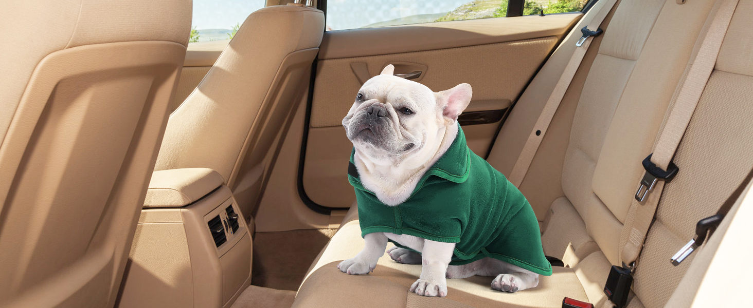 Рушник для собак PETTOM, мікрофібра, швидковисихаючий, для великих собак (M, зелений)