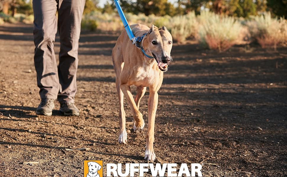 Нашийник для собак RUFFWEAR Web Reaction, гранітно-сірий, 43-51 см