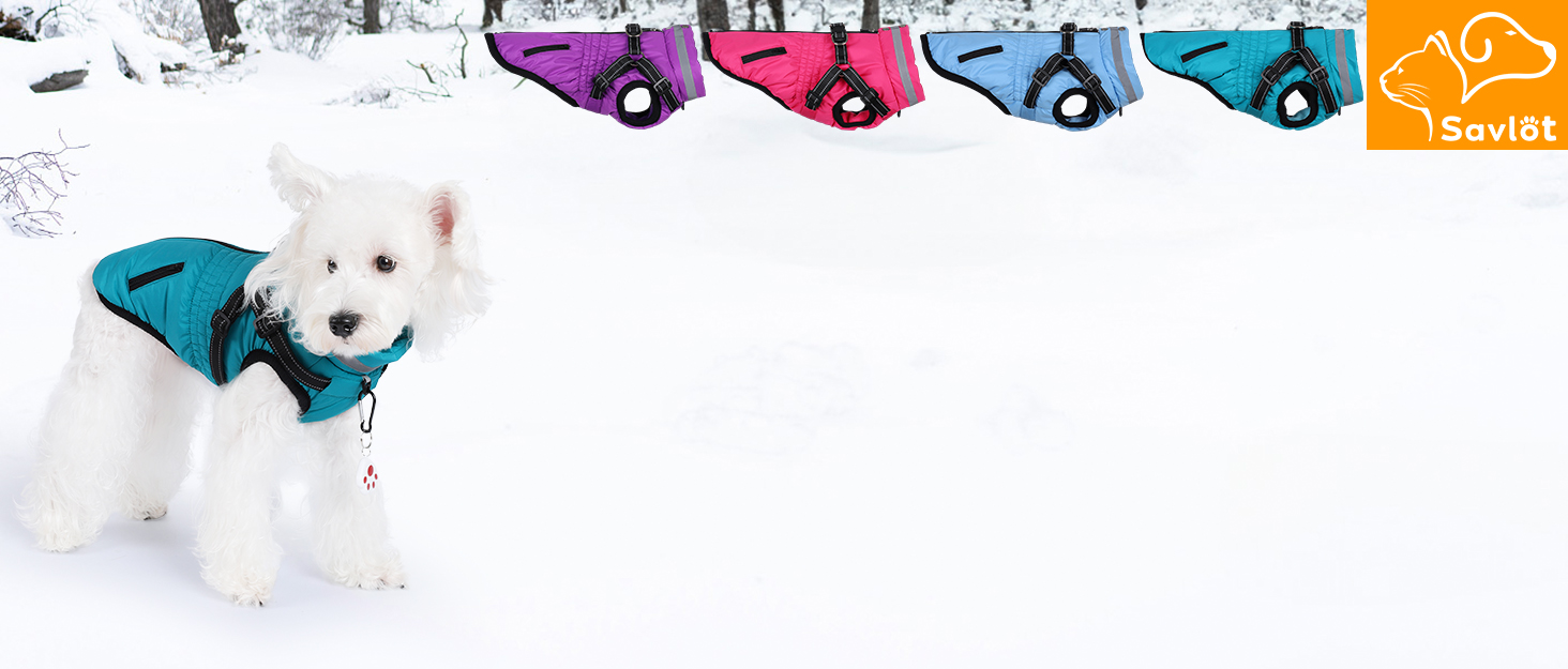 Водонепроникний теплий зимовий теплий куртка для собак та котів. Зелений, на блискавці