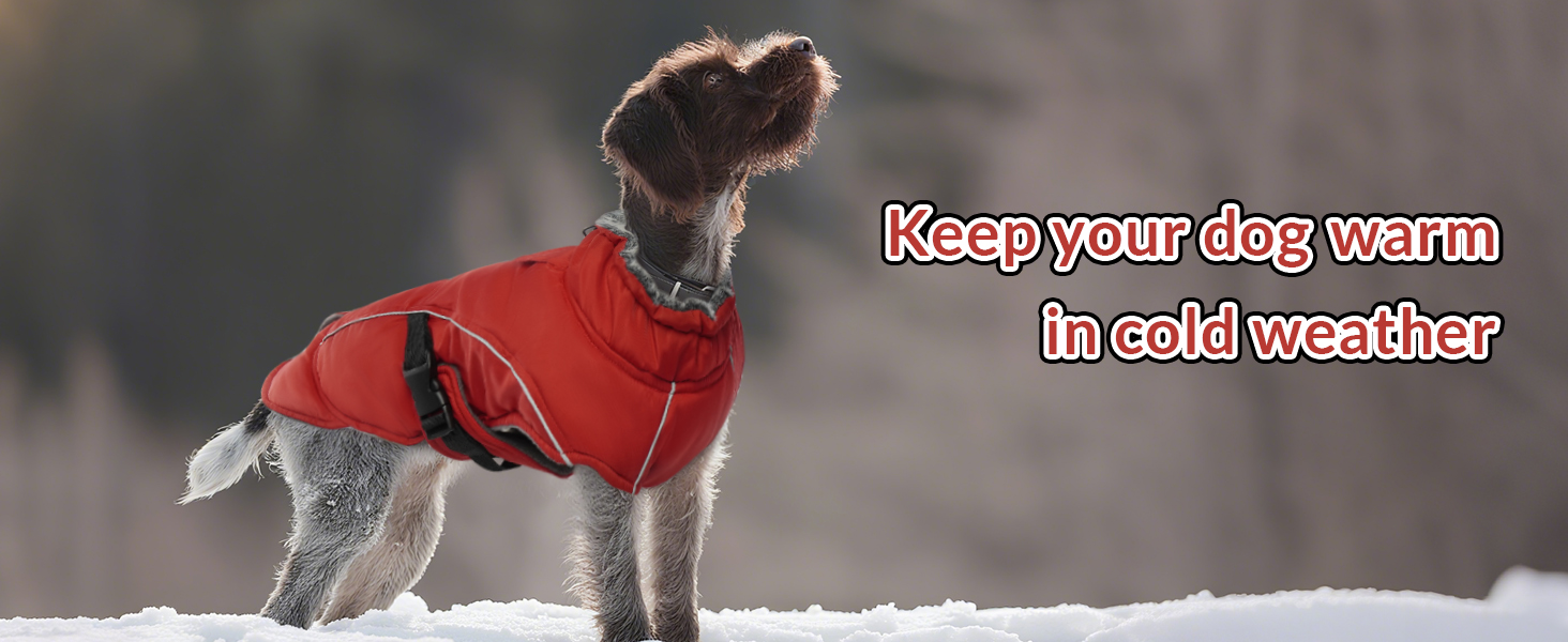 Водонепроникний зимовий теплий одяг для собак - куртка, жилет для чихуахуа, французького бульдога (Червоний, S)