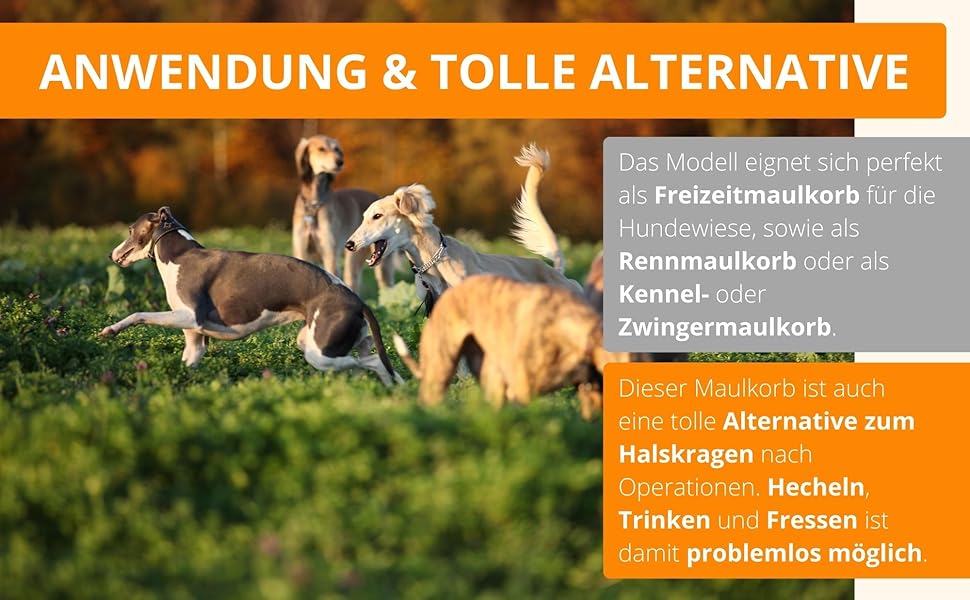 Нашийник-маска для грейхаундів (довгоносі) 101 Windhund – легкий, дихаючий, безпечний для прогулянок, ветеринара та захисту від отруєнь. Міцний та довговічний. Синій.