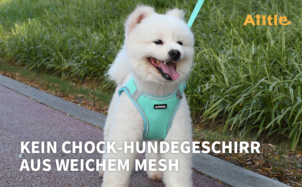 Нашийник та поводок для цуценят, комплект для прогулянок, нашийник Step-in, м'який, дихаючий, аксесуари для домашніх тварин, світловідбиваючі смуги, для дуже маленьких собак та котів, Бежевий, XXXS Бежевий XXXS (Обхват грудей: 21.5 - 25.5 см)