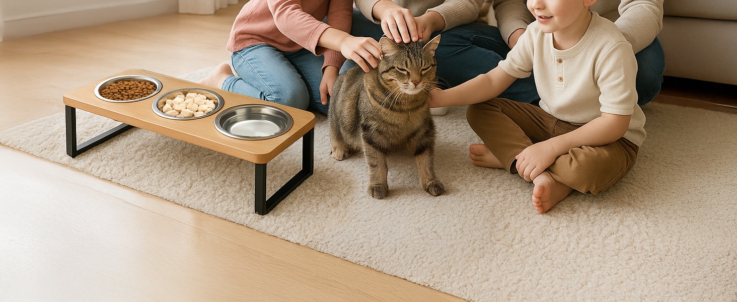 Підвищена годівниця для котів з 3 мисками з нержавіючої сталі, 15° нахил, набір мисок для котів, годівниця для котів та невеликих собак