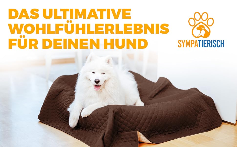 Водонепроникний плед для собак SympaTierisch - захист дивану та ліжка - антиковзаюча підстилка для собак, великих розмірів, придатний для прання - Колір: Коричневий, 150 x 130 см