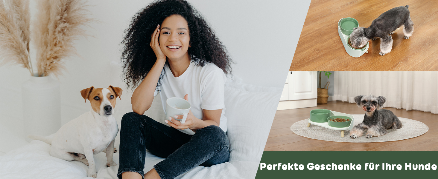 Набір мисок для собак з кераміки, піднятий на платформі - миски для повільного годування, набір з двох мисок для маленьких та середніх собак, годівниця та миска для води з неслизьким підставкою, середньо-зелений колір