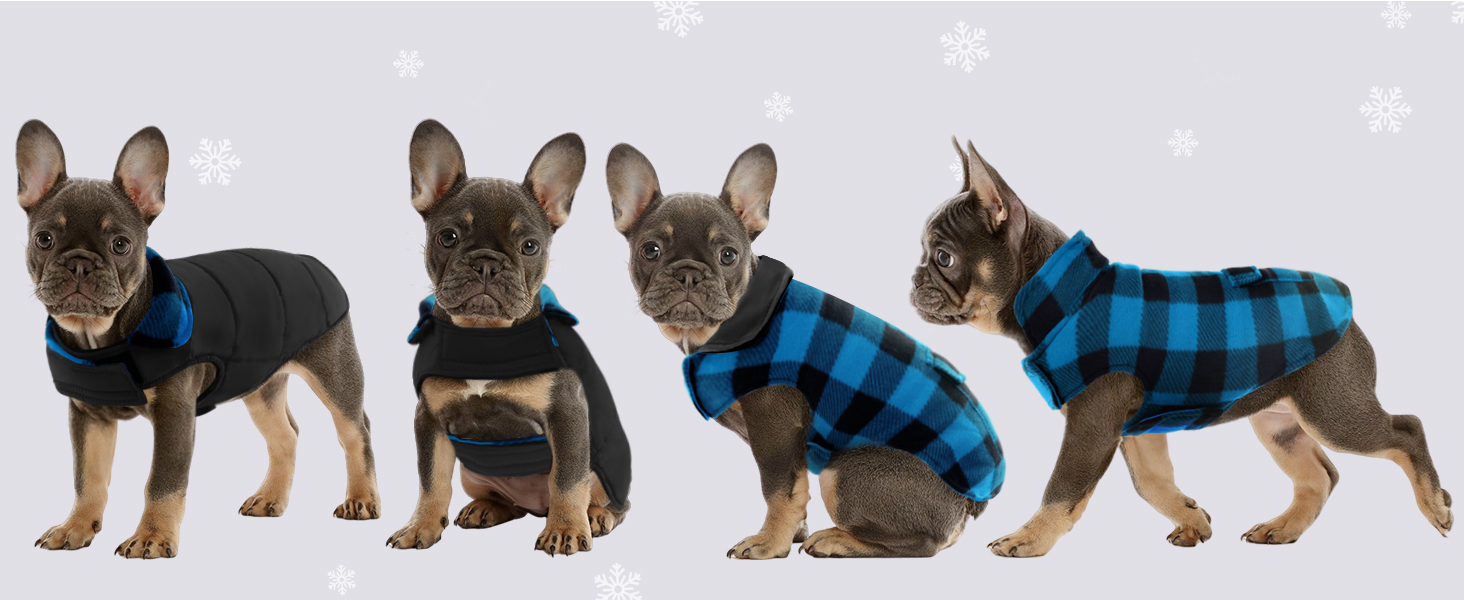 Зимовий теплий дощовик для собак XS, флісова куртка, дощовик для собак, 2 в 1, водонепроникний, вітрозахисний, з отвором для повідка, зелений