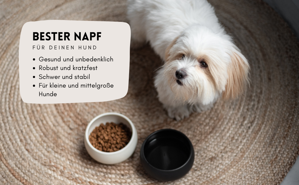 Керамічна годівниця для собак hej.mo | Чорна | Діаметр 16 см, об'єм 0,9 л | Міцна, для миття в посудомийній машині, стійка до подряпин та укусів | Годівниця для маленьких та середніх собак