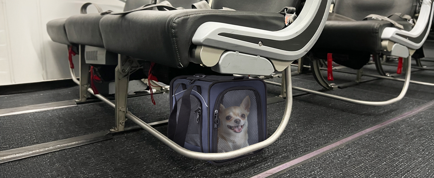 Транспортна переноска для собак та котів Petfit, чорна. Ідеальна для подорожей літаком, автомобілем або поїздом. Підходить для маленьких собак та котів.