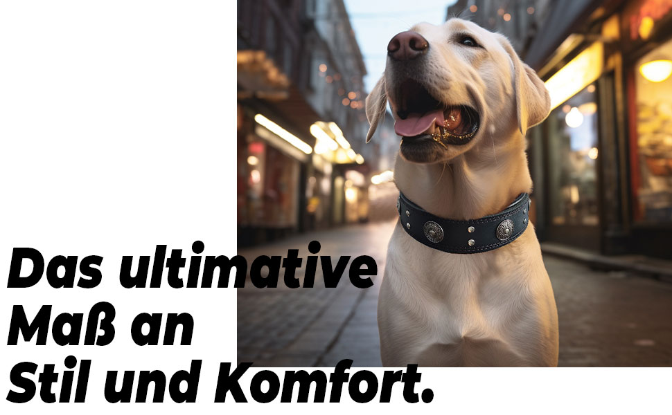 Нашийник для собак з натуральної шкіри, 5 см, чорний, розмір M (46.5-57.5 см)