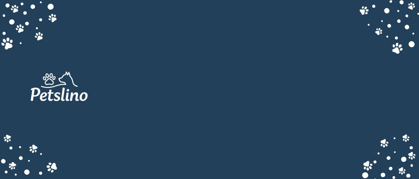 Миска для собак з нержавіючої сталі Petslino Hellblau XL, 2200 мл, з гравіюванням, антиковзаюча, для великих собак