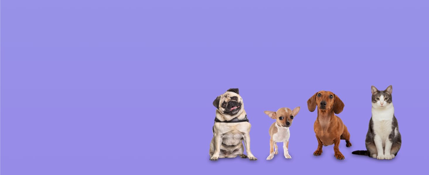 Ортопедичне собаче ліжко Normani для великих, середніх та маленьких собак - м'яке ліжко-диван з високим бортиком, колір бежевий, розмір 60x80x16 см