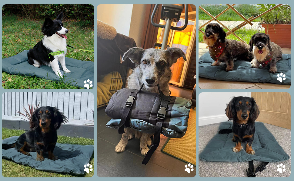 Лежанка для собак та котів WESKIFAN: водонепроникна, знімний чохол, 58 x 86 см, сіра