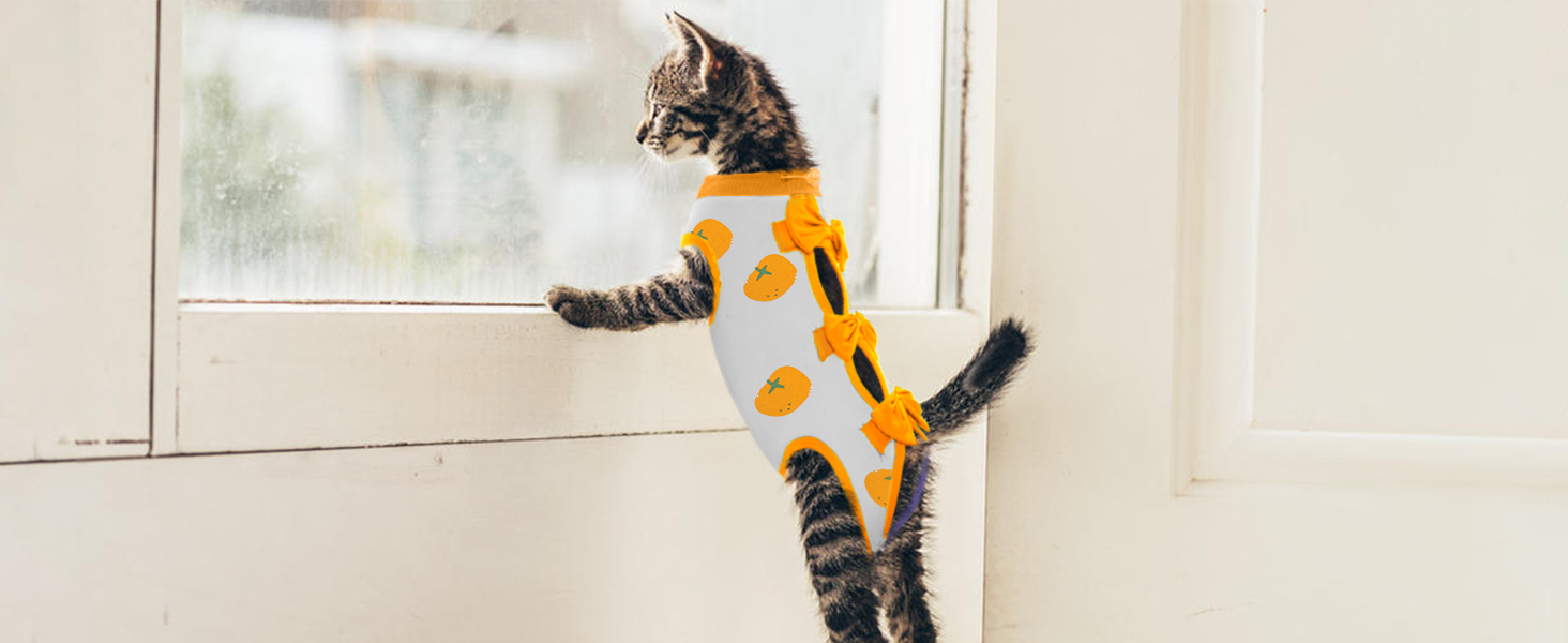 Тільце після кастрації для котів, медичний одяг, хірургічний костюм, одяг для відновлення після операції (Помаранчевий, S)