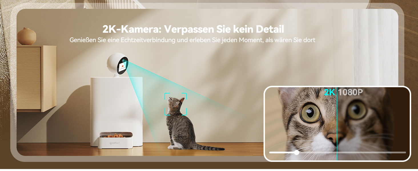 Автоматичний кормушка для котів FEELNEEDY з додатком