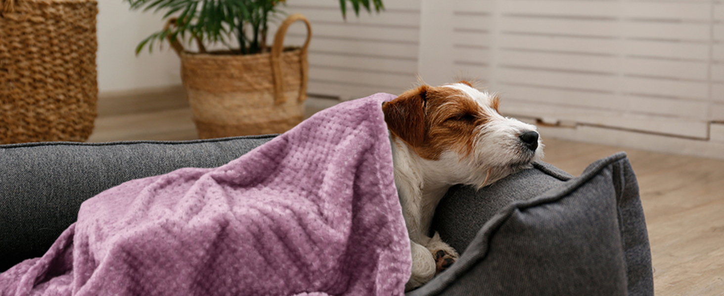 М'які ковдри для собак та котів SLSON, 70x100 см (фіолетовий, чорний, синій)