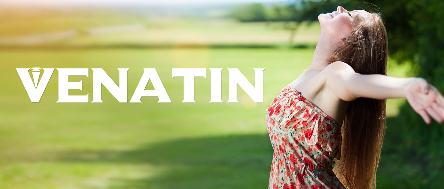 Транспортна переноска для котів та собак великих порід, XL, 53x36x34 см, зелена