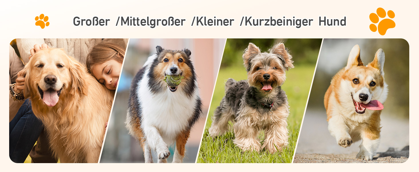 Східці для собак Hunderampe - складані, портативні, з антиковзким покриттям, для автомобілів, SUV та вантажівок (170x44 см)