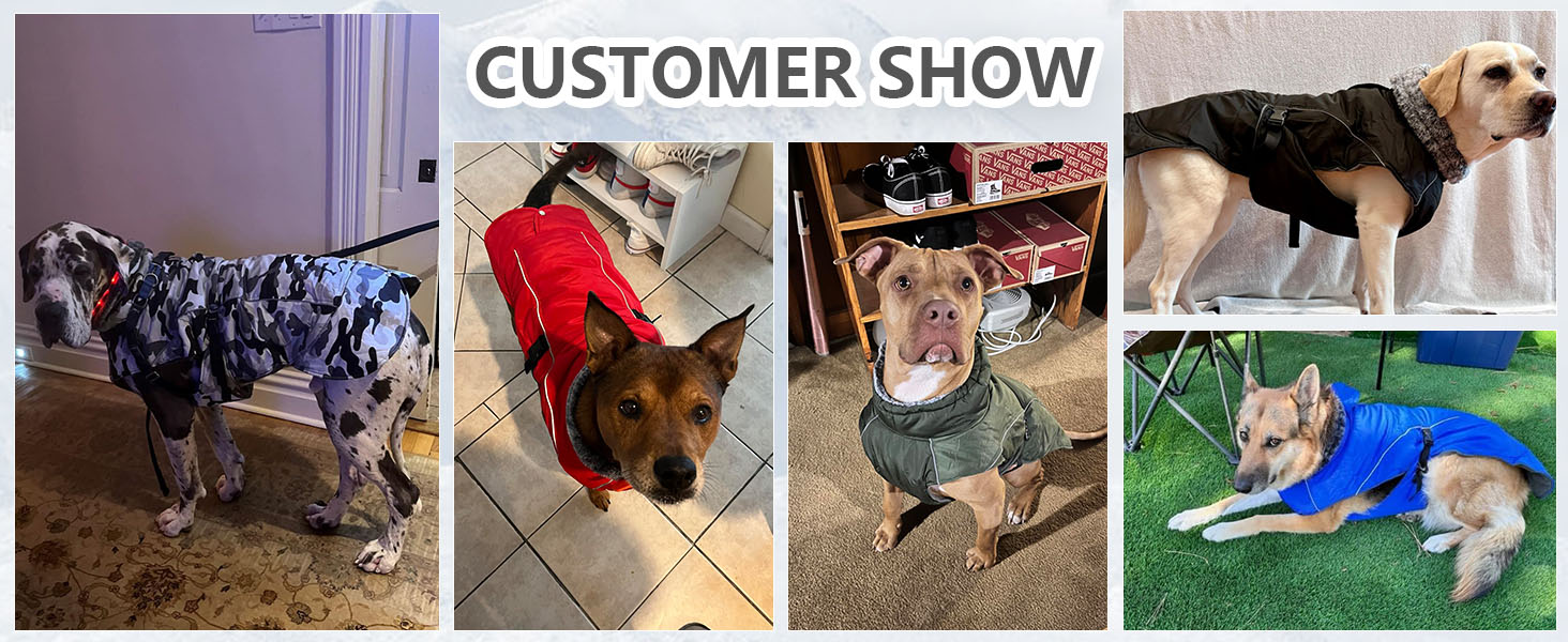 Водонепроникний теплий зимовий одяг для собак DENTRUN, флісова підкладка, куртка для собак середнього розміру (Синій, M)