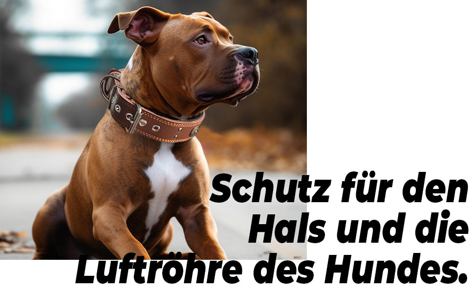 Нашийник для собак з натуральної шкіри, 5 см, чорний, розмір M (46.5-57.5 см)